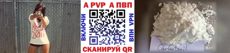 shop состав  Светлогорск  A PVP СК КРИС 
