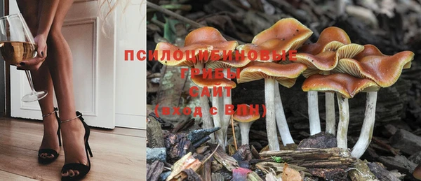 MDMA Premium VHQ Беломорск