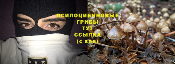 стаф Белоозёрский