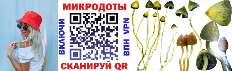 Псилоцибиновые грибы GOLDEN TEACHER  Светлогорск 