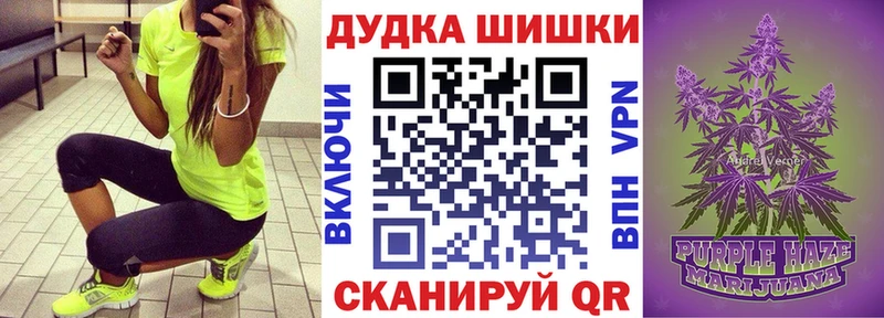mega зеркало  Светлогорск  Марихуана ГИДРОПОН 